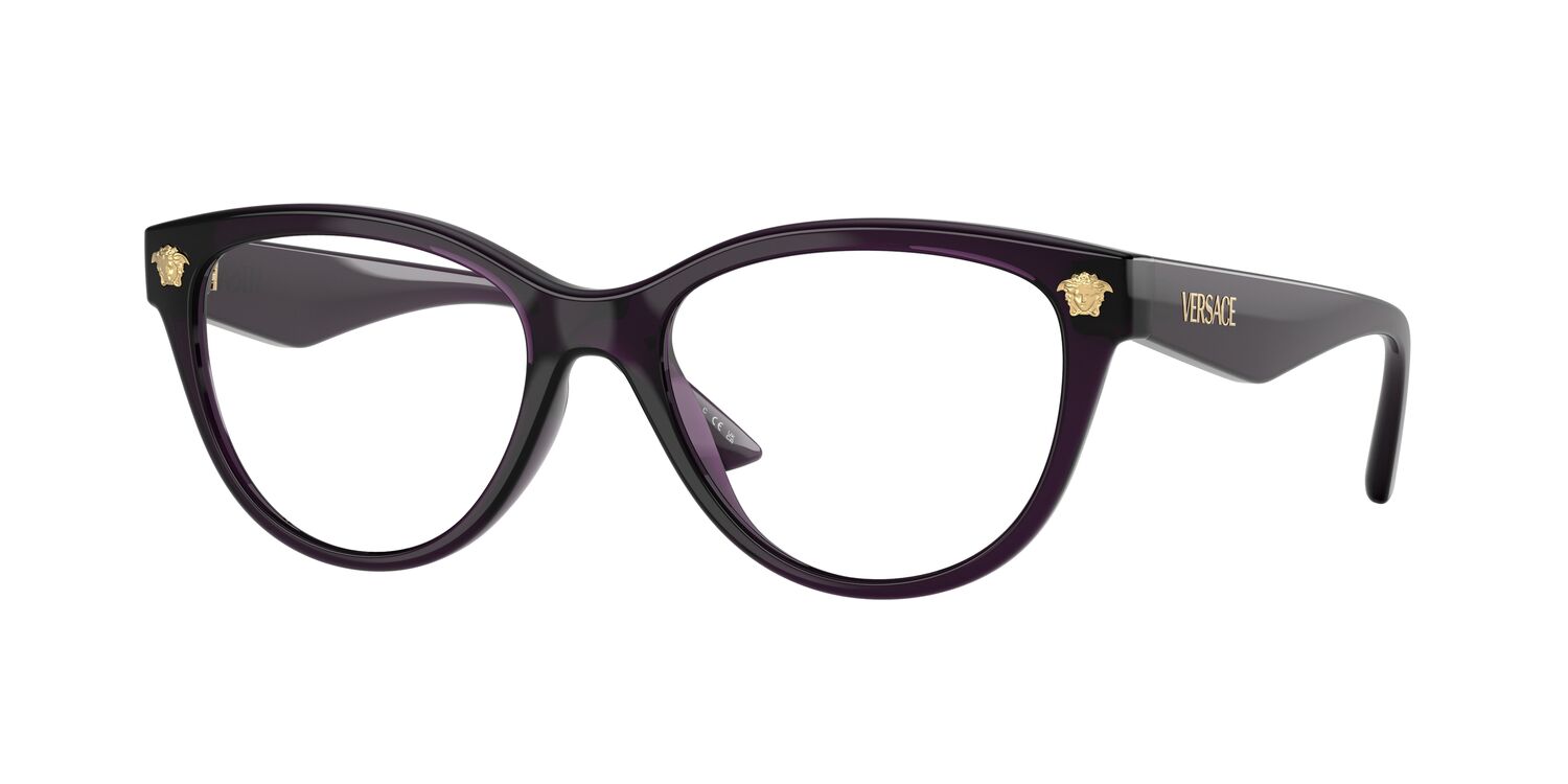 Thuong Vu専用 Women's Eyeglasses VERSACE Violet VE3365U 5263 54/17 - 61902