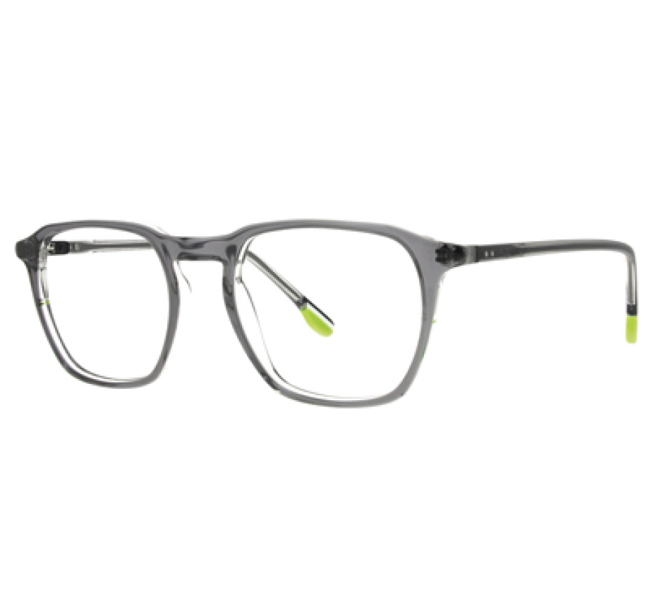 Lunettes de vue FACONNABLE FR027 GRCR 50/19