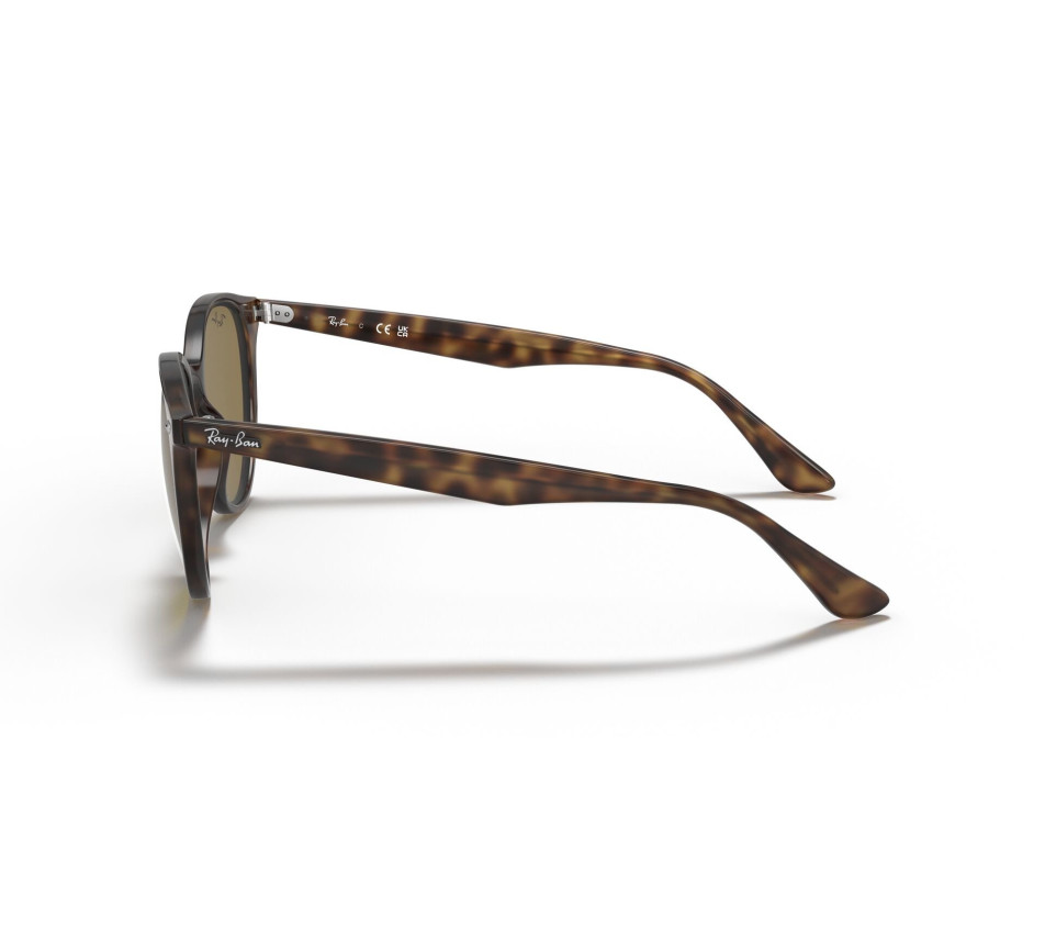 Lunettes de soleil RAY-BAN RB4305 710/73 53/19