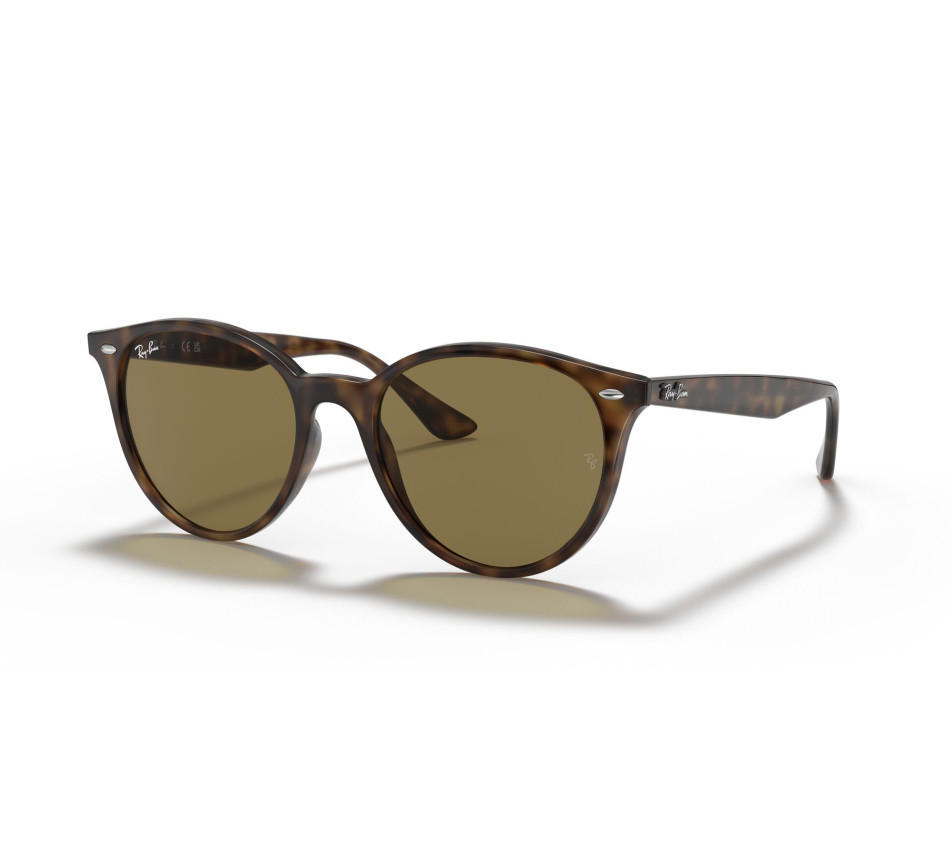 Lunettes de soleil RAY-BAN RB4305 710/73 53/19