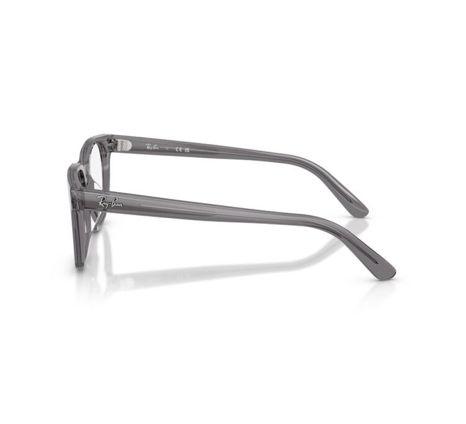 Lunettes de vue RAY-BAN RX5461D 8268 51/20