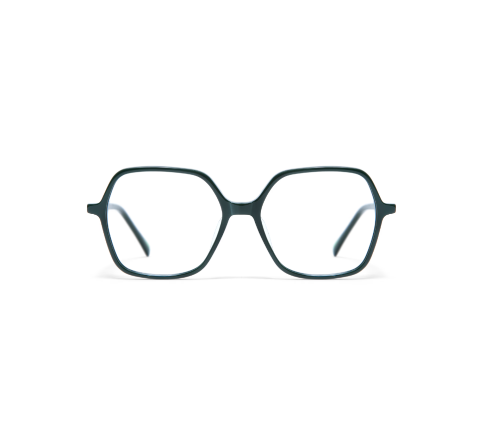 Lunettes de vue GIGI STUDIOS CANDELA 8109/7 53/15