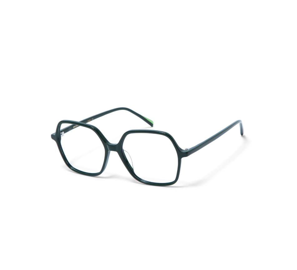 Lunettes de vue GIGI STUDIOS CANDELA 8109/7 53/15
