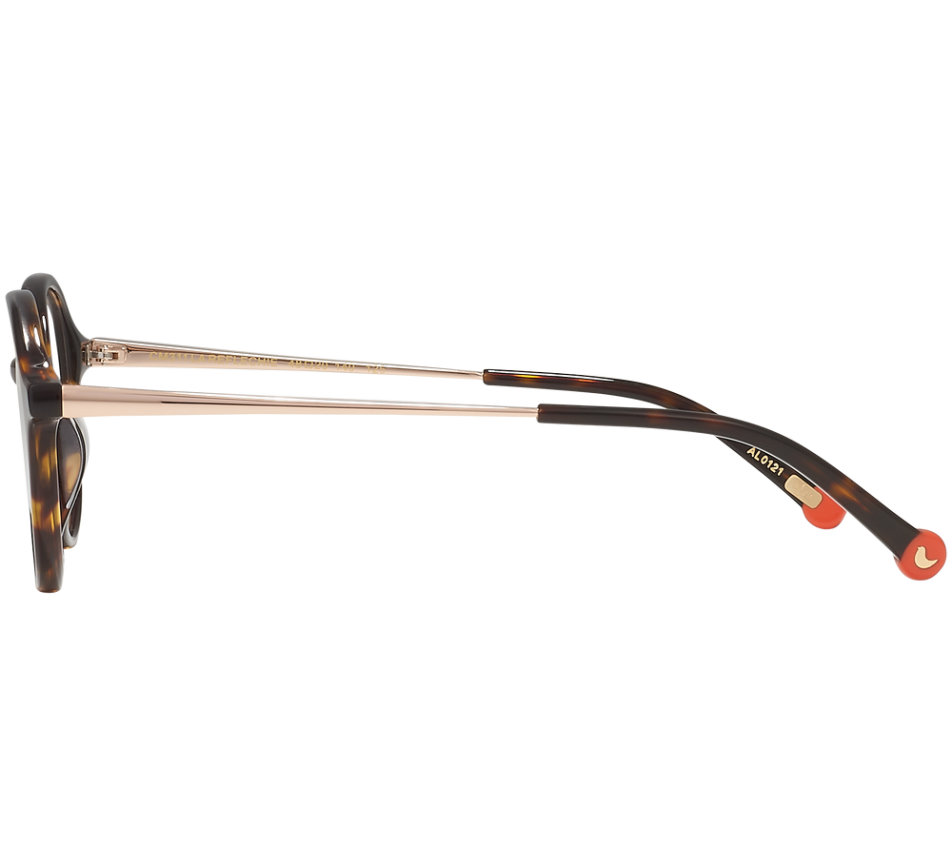 Lunettes de vue CLEMENCE & MARGAUX CM311 125 48/20