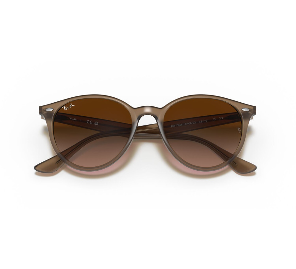 Lunettes de soleil RAY-BAN RB4305 616613 53/19