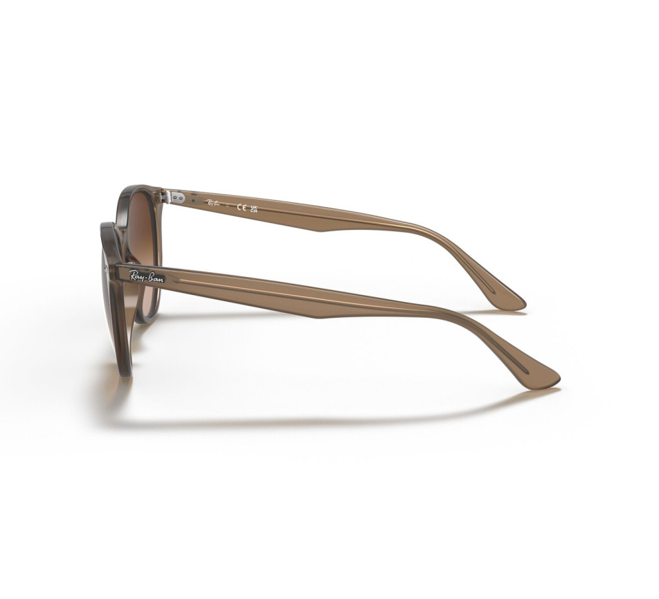 Lunettes de soleil RAY-BAN RB4305 616613 53/19