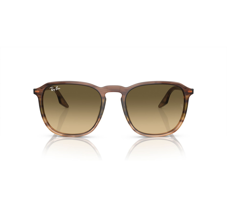 Lunettes de soleil RAY-BAN RB2203 13920A 52/20