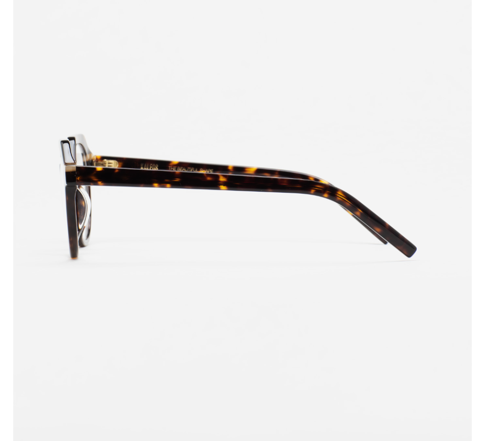 Lunettes de vue KALEOS HAVERHILL COL2 49/22