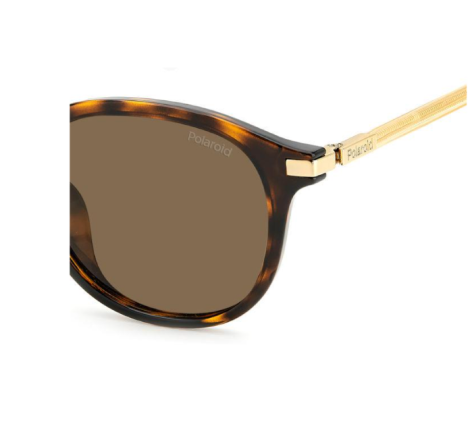 Lunettes de soleil POLAROID PLD 4148/S/X 8YW 50/19