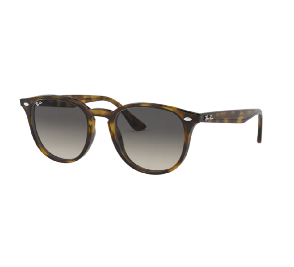 Lunettes de soleil RAY-BAN RB4259 710/11 51/20