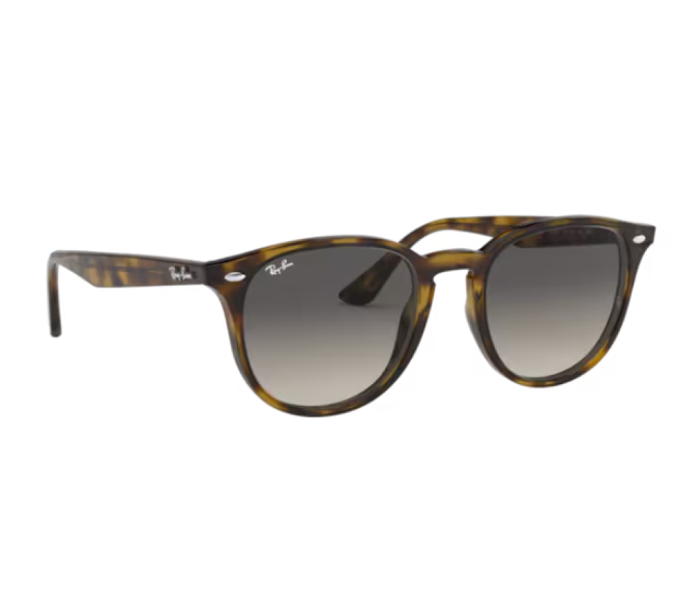 Lunettes de soleil RAY-BAN RB4259 710/11 51/20