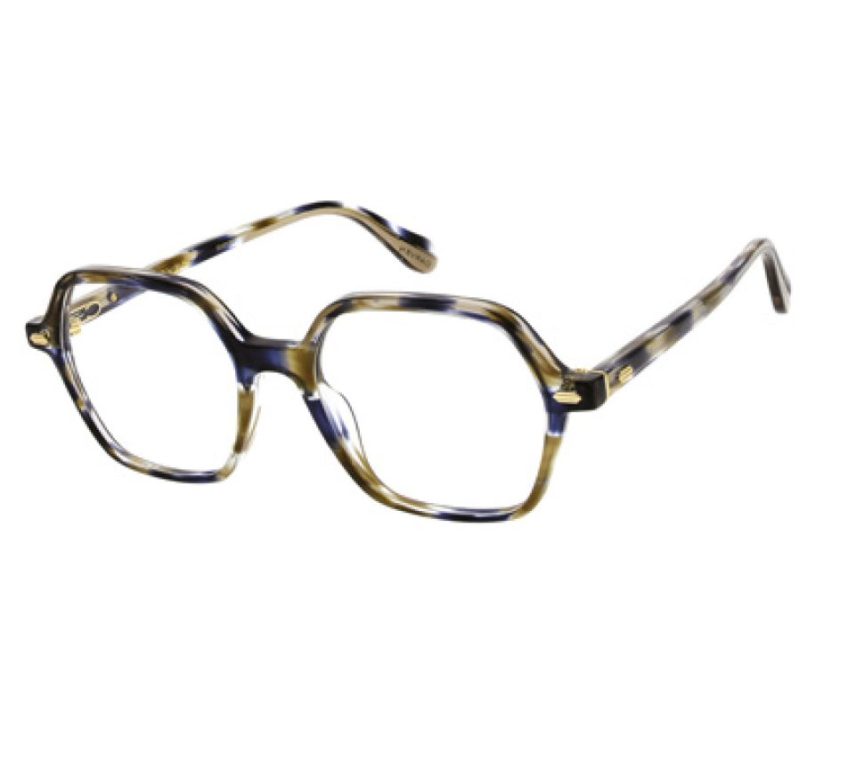 Lunettes de vue CARVEN CC1050 37681