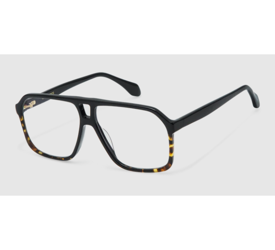 Lunettes de vue GIGI STUDIOS ELARA GS1077/11 58/19