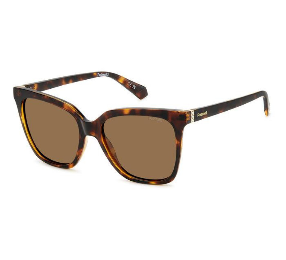 Lunettes de soleil POLAROID PLD 4155/S/X 086 55/17