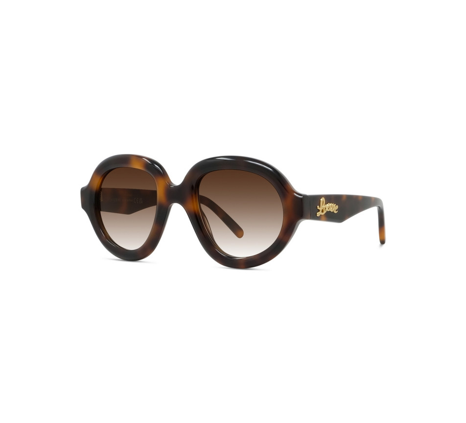 Lunettes de soleil LOEWE LW40105I 52F 49/22