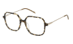 Ecaille Moyen