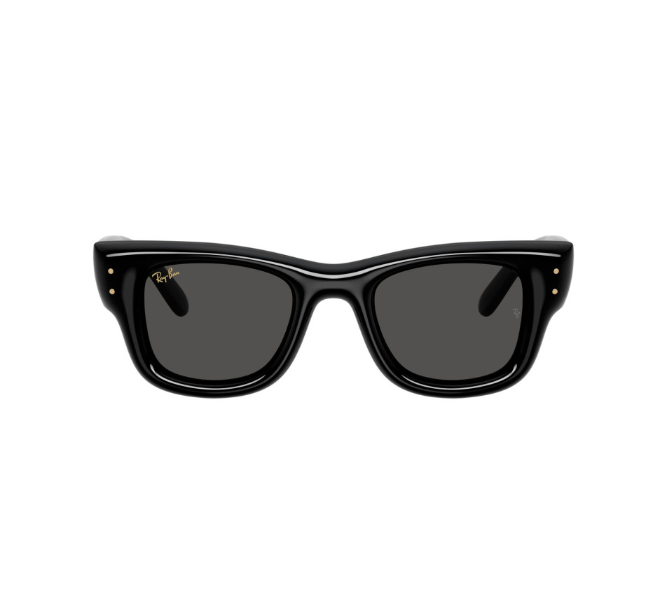 Sunglasses RAY-BAN Wayfarer puffer RB4940 - 64571
