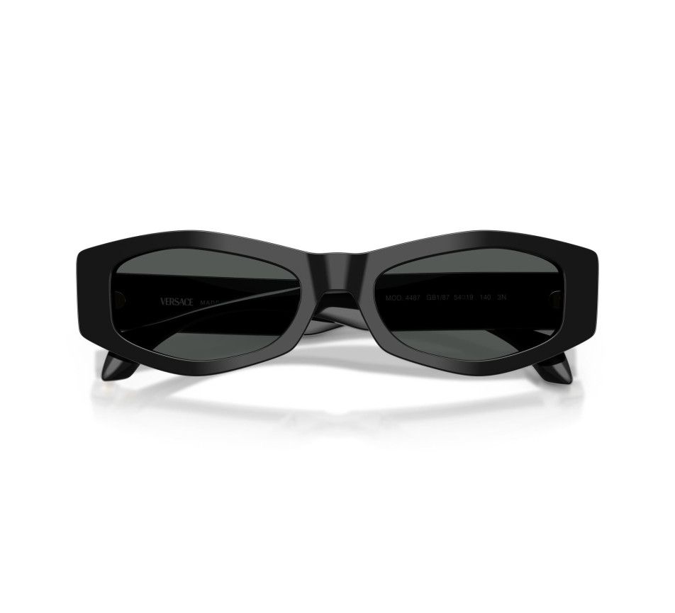 Sunglasses VERSACE VE4487 GB1/87 54/19