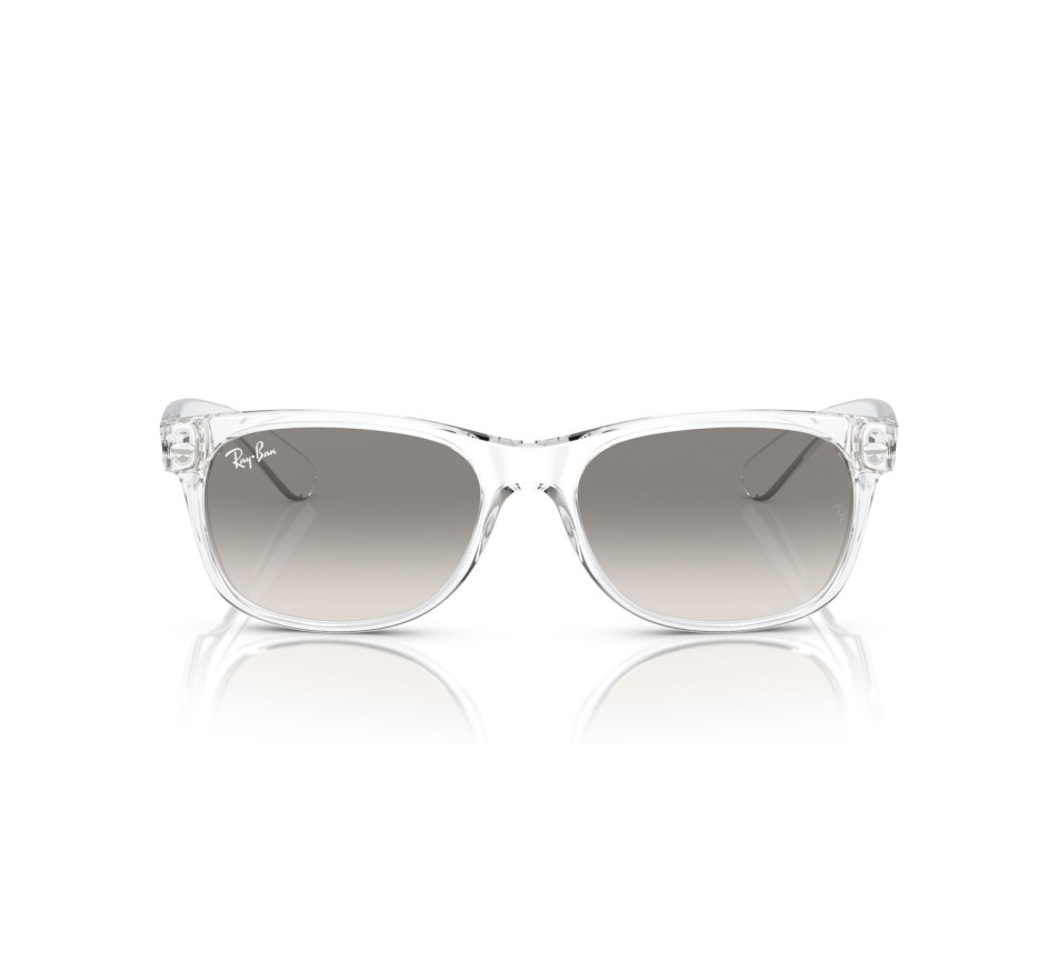 Sunglasses RAY-BAN RB2132 677432 55/18