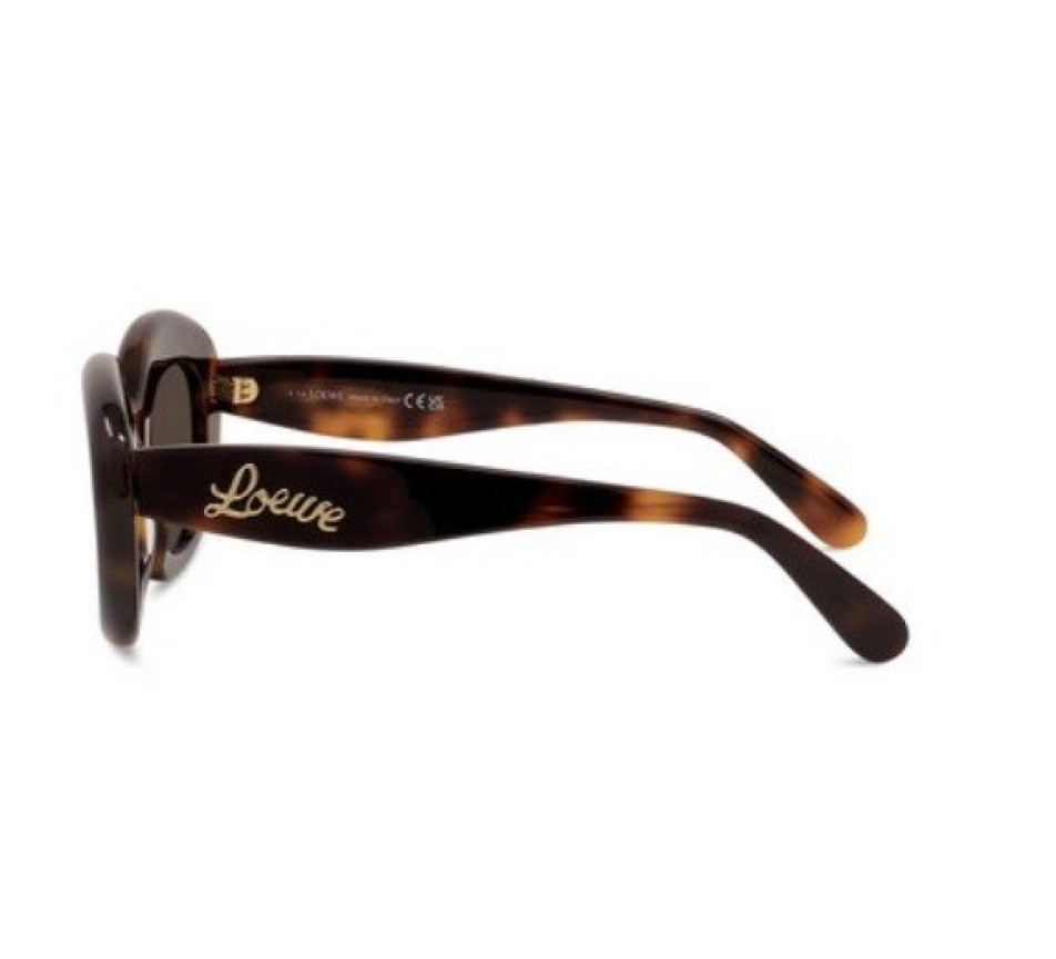 Sunglasses LOEWE CURVY LW40153I - 64209 display picture 1