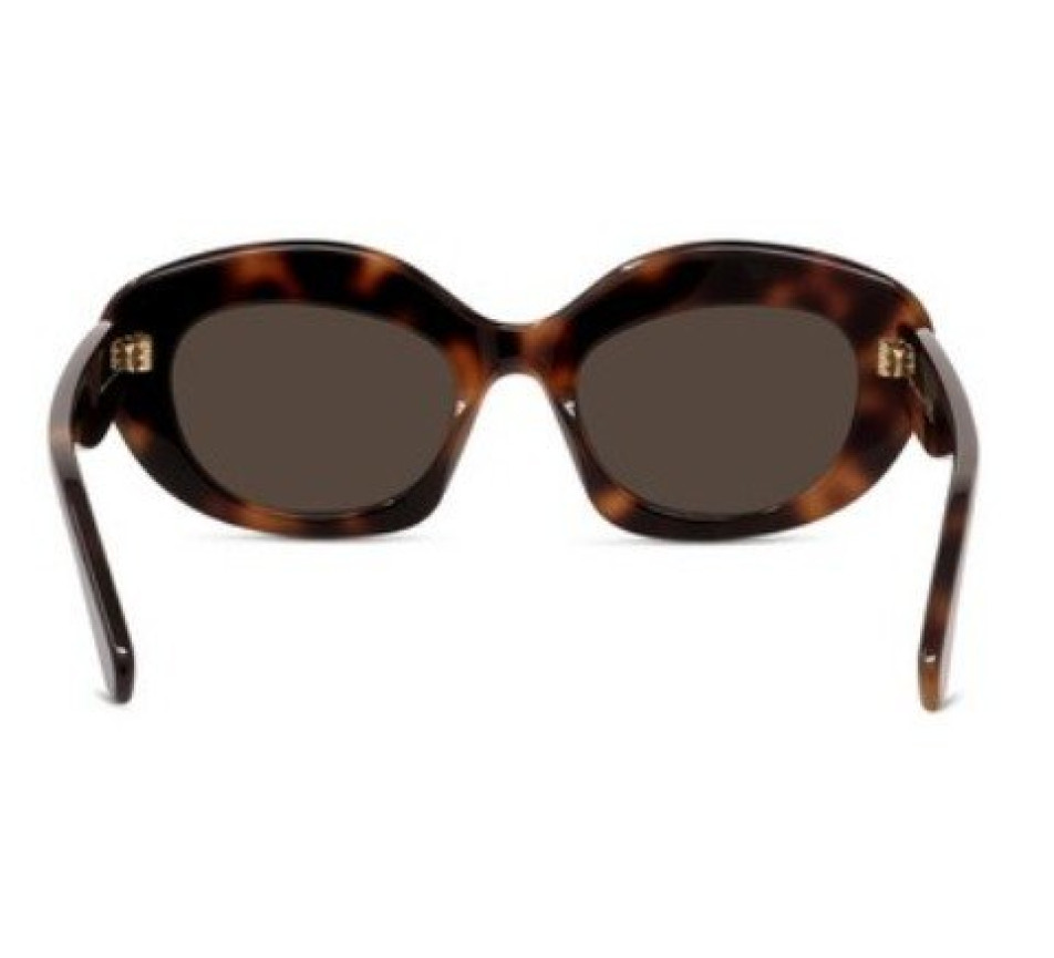 Sunglasses LOEWE CURVY LW40153I - 64209 display picture 3
