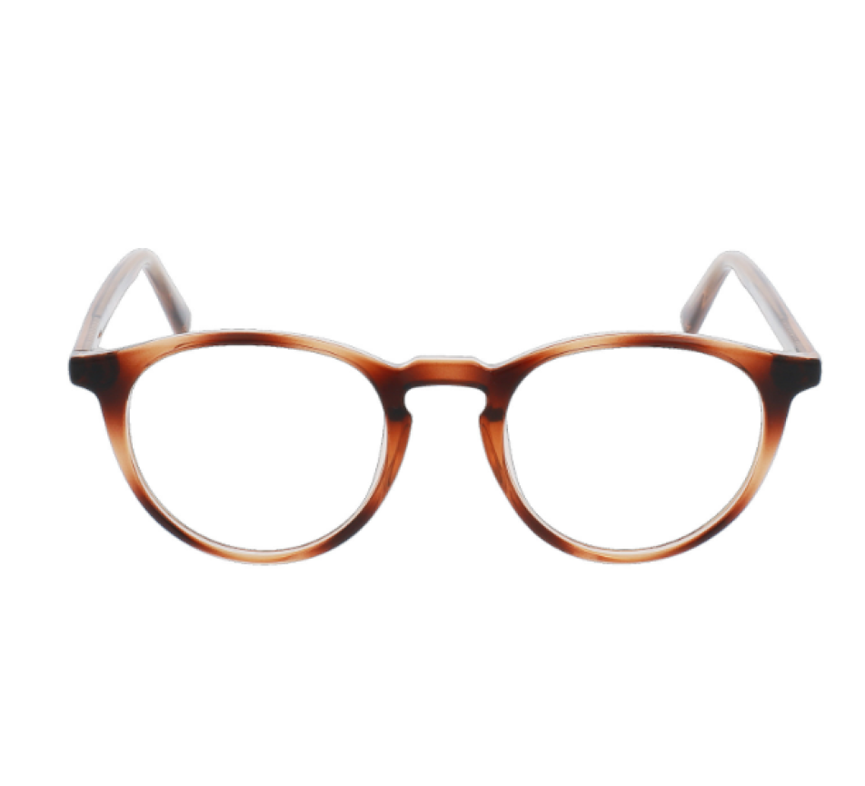 Eyeglasses 1796 CBUP2311 ECAILLE 49/20