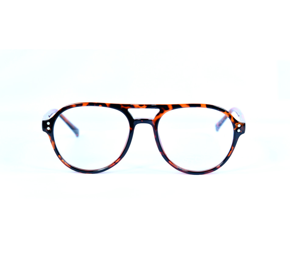 Eyeglasses SDL FIP047 C2 51/17