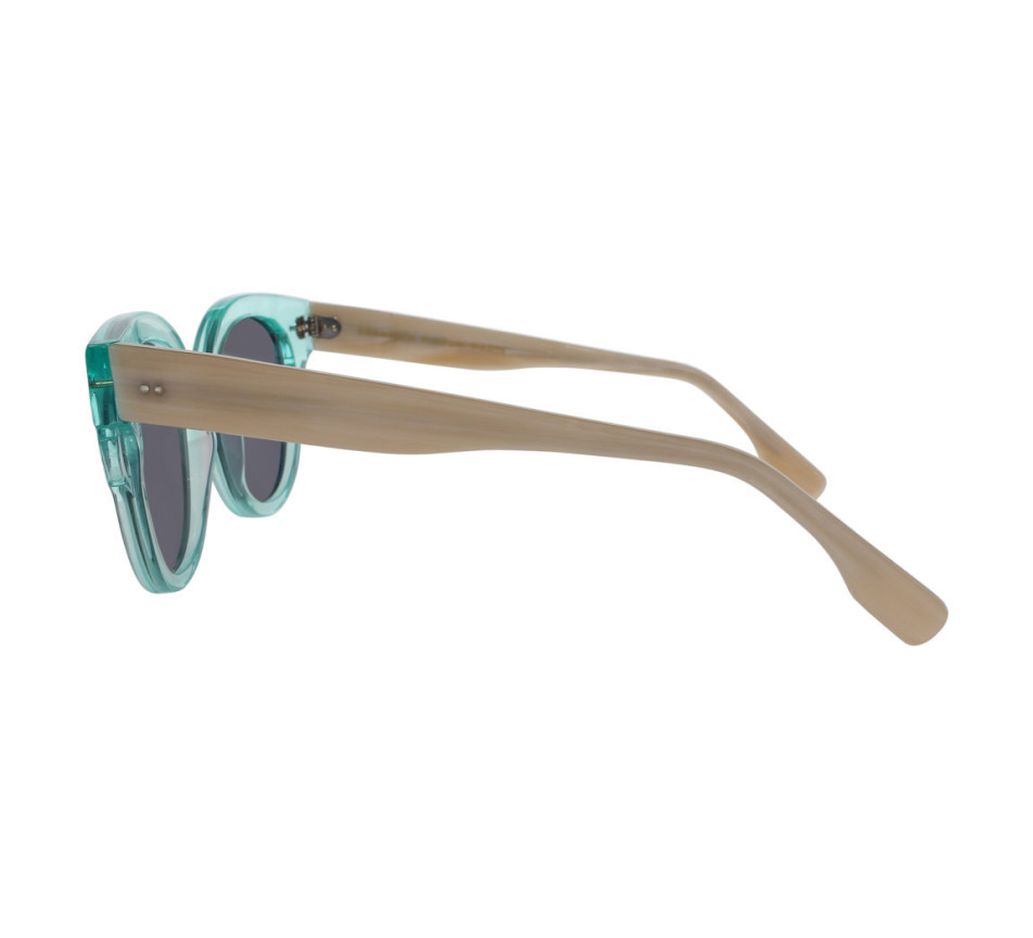 Sunglasses FRANCOIS PINTON FPOLBIA-Ge-M 49/22