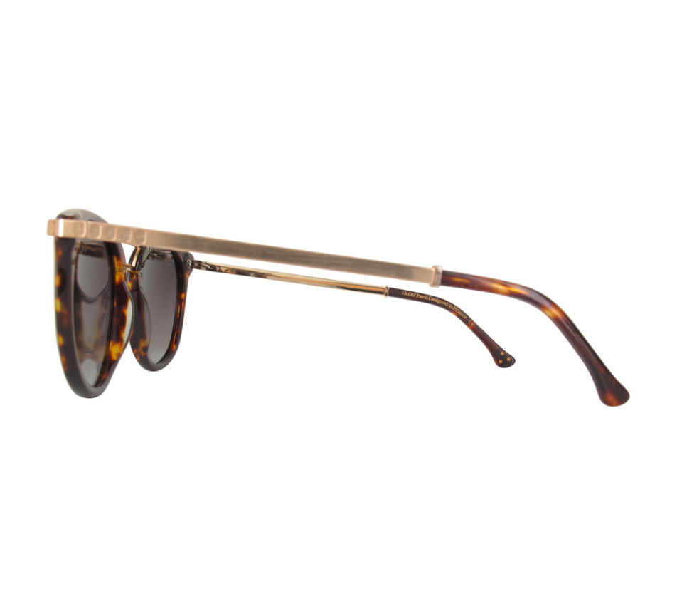 Sunglasses IRON IRS21-DKTORT/001-52
