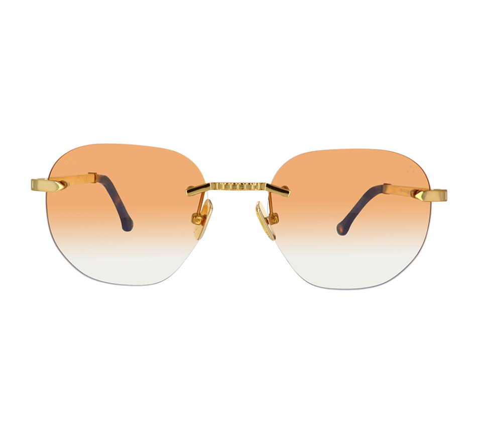 Sunglasses IRON IRS46-002-53