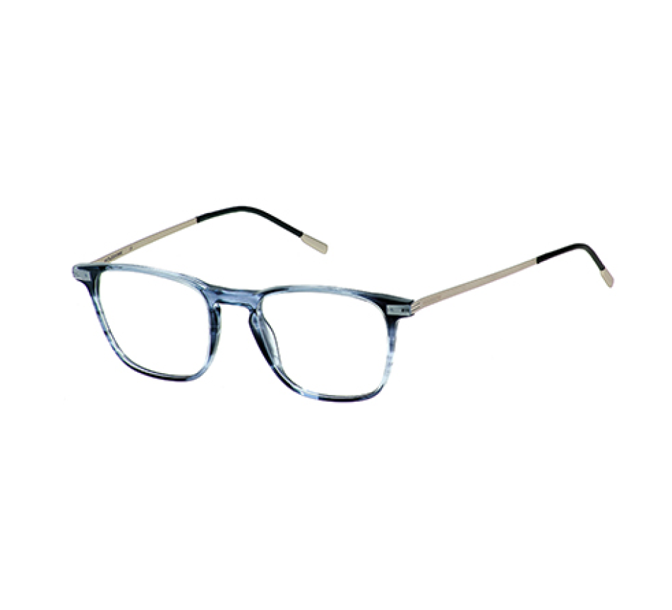 Eyeglasses MOLESKINE MO1116 53 50/19