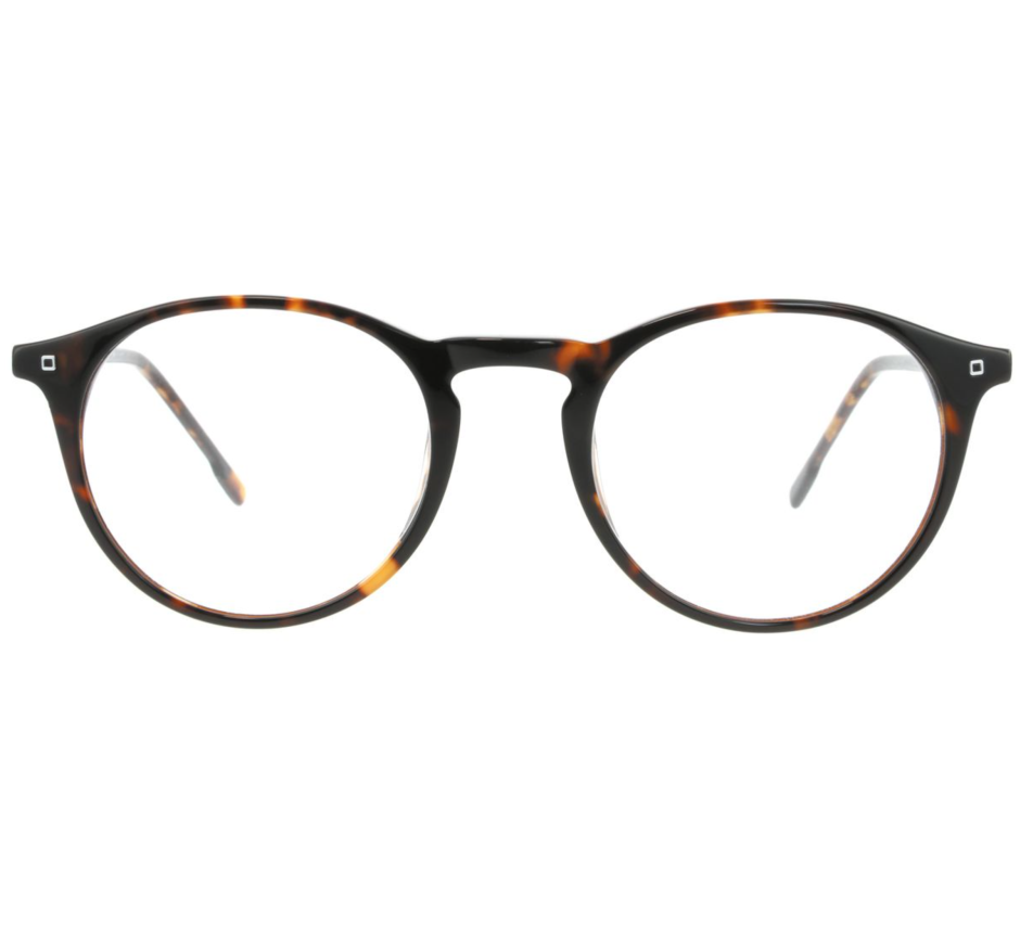 Eyeglasses MOLESKINE MO1154 32 50/21