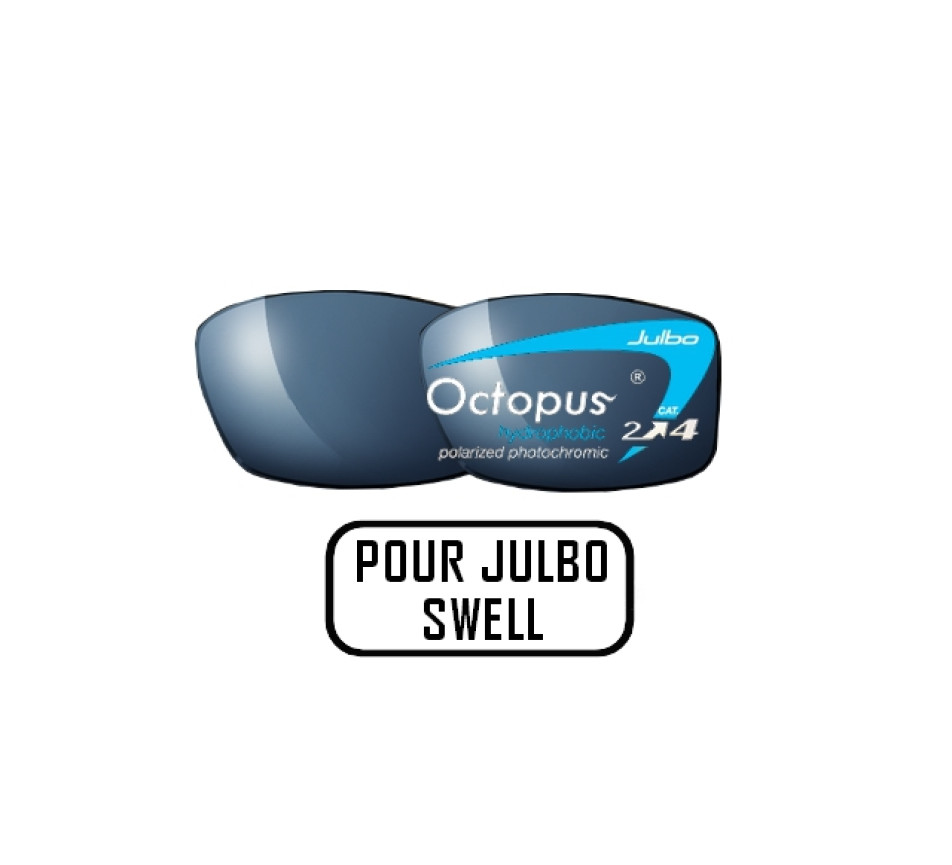 Sunglasses JULBO Julbo reactiv 2-3 OCTOPUS lenses on SWELL