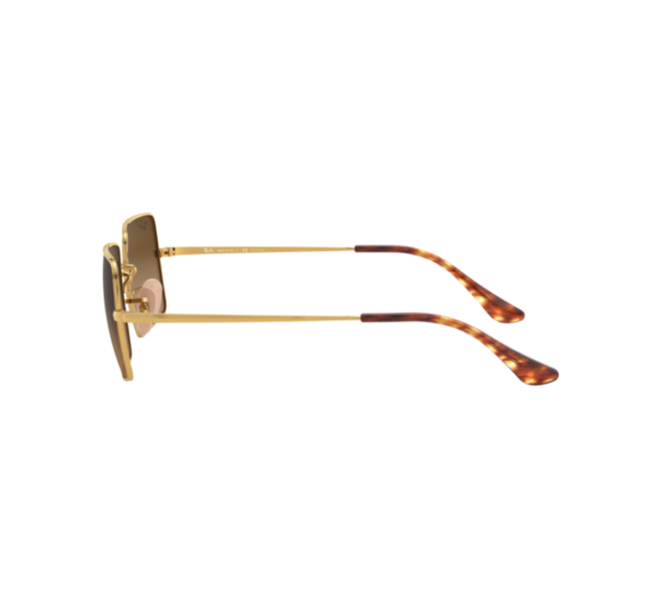 Sunglasses RAY-BAN RB1969 9147M2 54/19