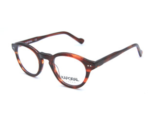 ROBIN TORTOISESHELL 48/23