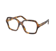 Tortoiseshell Medium