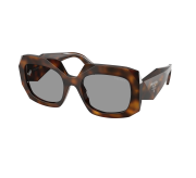 Tortoiseshell Medium