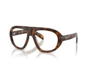 Tortoiseshell Medium