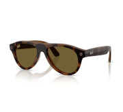 Dark Tortoiseshell