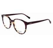 Tortoiseshell Medium