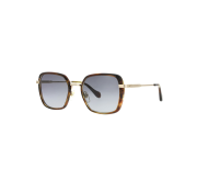 Tortoiseshell Medium