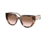 Tortoiseshell Medium