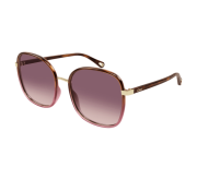 Tortoiseshell Medium