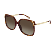 Tortoiseshell Medium