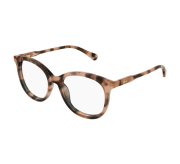 Dark Tortoiseshell