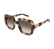 Tortoiseshell Medium