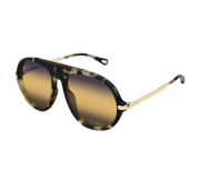 Dark Tortoiseshell