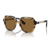 Tortoiseshell Medium