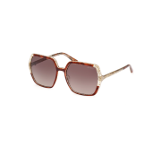 Tortoiseshell Medium