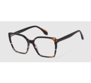 Dark Tortoiseshell